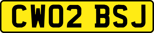 CW02BSJ
