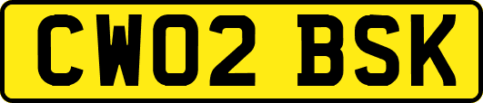 CW02BSK