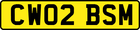 CW02BSM