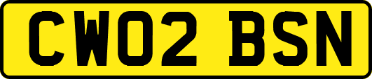 CW02BSN