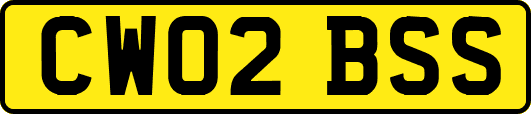 CW02BSS