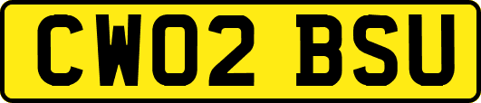 CW02BSU