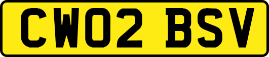 CW02BSV