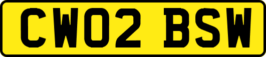 CW02BSW