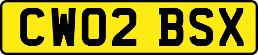 CW02BSX