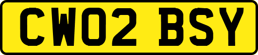 CW02BSY