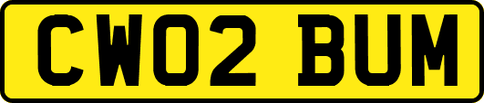 CW02BUM