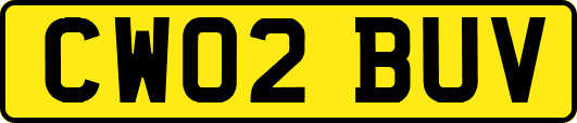 CW02BUV