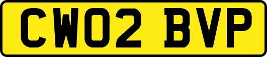CW02BVP