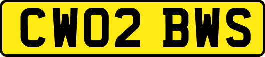 CW02BWS