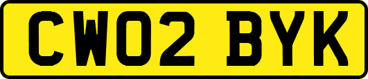 CW02BYK
