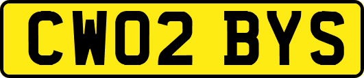 CW02BYS