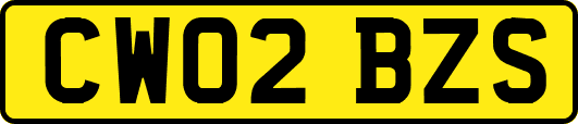 CW02BZS