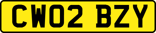 CW02BZY