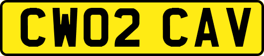 CW02CAV
