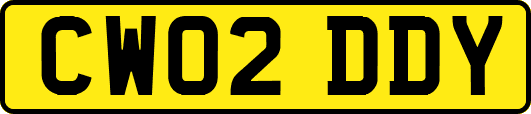CW02DDY