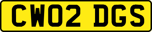 CW02DGS