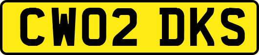 CW02DKS