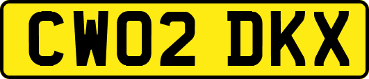 CW02DKX