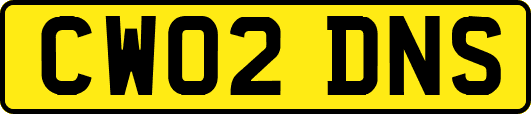 CW02DNS