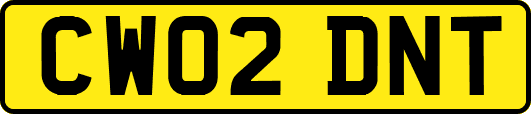 CW02DNT
