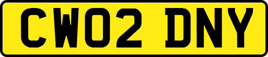 CW02DNY