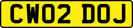 CW02DOJ