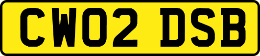 CW02DSB