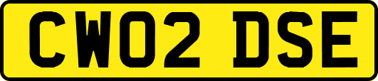 CW02DSE
