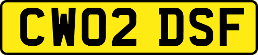 CW02DSF