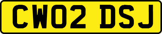 CW02DSJ