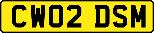 CW02DSM