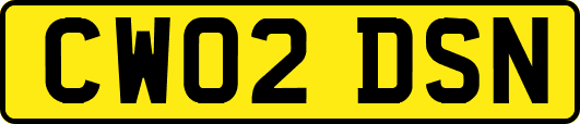 CW02DSN