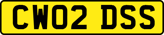 CW02DSS