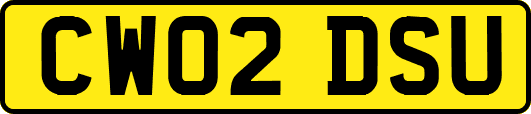CW02DSU