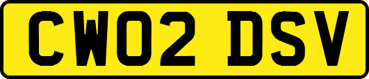 CW02DSV