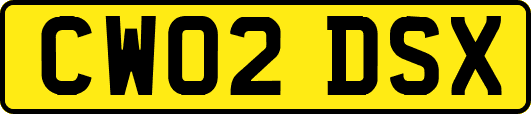 CW02DSX