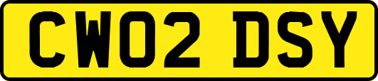 CW02DSY