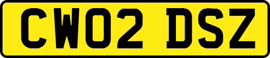 CW02DSZ