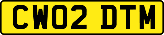 CW02DTM