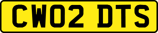 CW02DTS