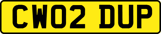CW02DUP