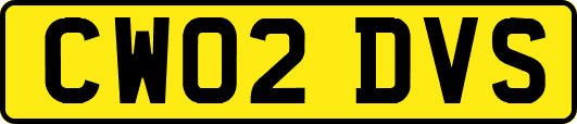 CW02DVS