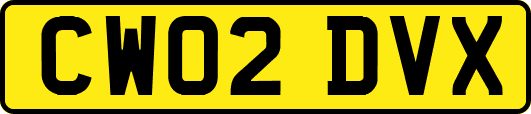 CW02DVX