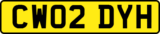 CW02DYH