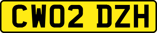 CW02DZH