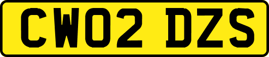 CW02DZS