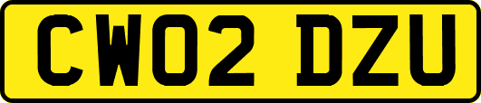 CW02DZU