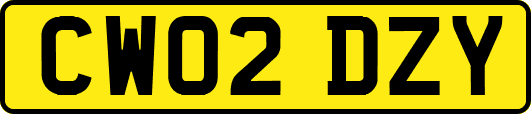 CW02DZY