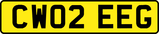 CW02EEG